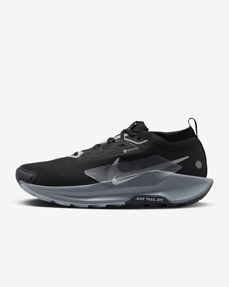 Nike Pegasus Trail 5 GORE-TEX Schwarz/Cool Grey/Anthrazit/Wolf Grey